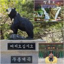 무릉선원 | 부처님 오신 날 미리가 본 동해 무릉계곡 삼화사