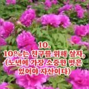 10월18일(금)숭이님들 출석하숑 이미지