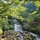 지리산하늘정원민박 이미지