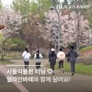 하루핏 | [양천향교역 바레] 서울식물원 5km 러닝, 얼라인바레 &amp; 에이스핏 🌸