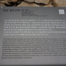 일두 이미지