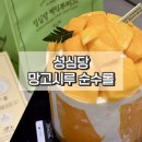 1843 | 성심당 망고시루 안무너진 후기 망고케이크 맛집
