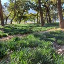 다숲민박 이미지