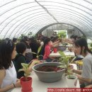 고교농장 이미지