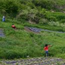 벚꽃향기민박 이미지