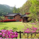 한옥전원 이미지