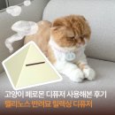 츄츄동물병원 | 펠리노스 반려묘 릴렉싱 디퓨저ㅣ고양이 페로몬 디퓨저 사용기