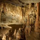 칼즈배드 이미지