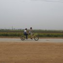 검산초등학교 이미지