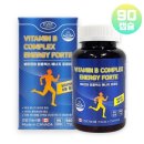 에버그린 이미지