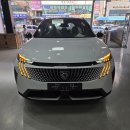 5008 | 푸조 5008 스마트하이브리드 화이트 출고 후기