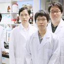 태양이용 이미지