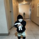 토토피씨 이미지