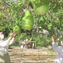 남산마을 이미지