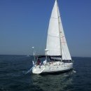 아라파니 이미지