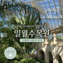 수목원 | 수원 아이와 가볼만한 곳 | 일월수목원 다녀온 후기