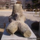 안동대학교박물관 이미지