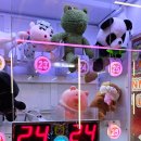 개구리게임장 이미지