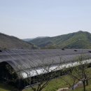 송동농장 이미지