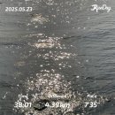 선캐처 잘될고래 | 2025.05 따끈따끈 묵호, 강릉 여행기