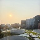 이호약국 이미지