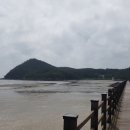 지니비치향 이미지