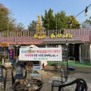 달빛농장 | 인천 애견동반 바베큐 달빛정원 캠핑장