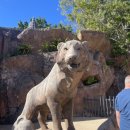 드림월드타운 이미지