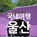 체험나라 - 나주시 세남로 1508 | 울산 언양 자수정 동굴 보트체험 자수정동굴나라 솔직 후기
