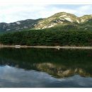 고잔서울약국 이미지