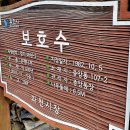 비석1길 티스토리