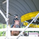 울산EDA승마장 이미지