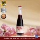 로렌츄컴퍼니 베이비뉴스