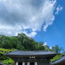 경북 의성 가볼 만한 곳 고운사 6월 방문 후기