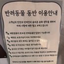 승현목장 | 경기광주 카페 폰드먼트 애견동반 가능 두쫀쿠 후기