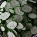 미하가든 이미지