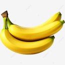 인생먹거리 이미지