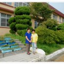 양화초등학교 이미지