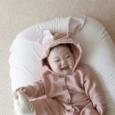 노엘