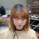 홀릭 트레이드