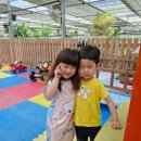 곰이네유치원 이미지