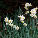 한림공원 이미지