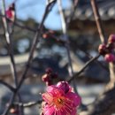 바우길 16구간 이미지