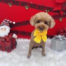 (주)해내 이미지