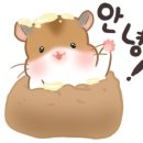 특별한 동물가게 이미지