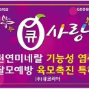큐사랑울산