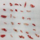 송정동물메디컬센터 이미지