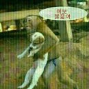 모여모여 이미지