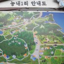 한강둔치길 이미지