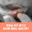 하나종합내과의원 이미지
